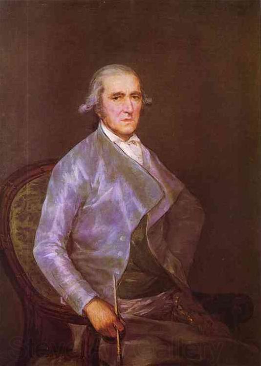 Francisco Jose de Goya Portrait of Francisco Spain oil painting art
